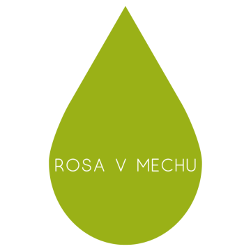 Rosa v mechu