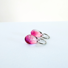 Lesní směs - mini (Proměnky)