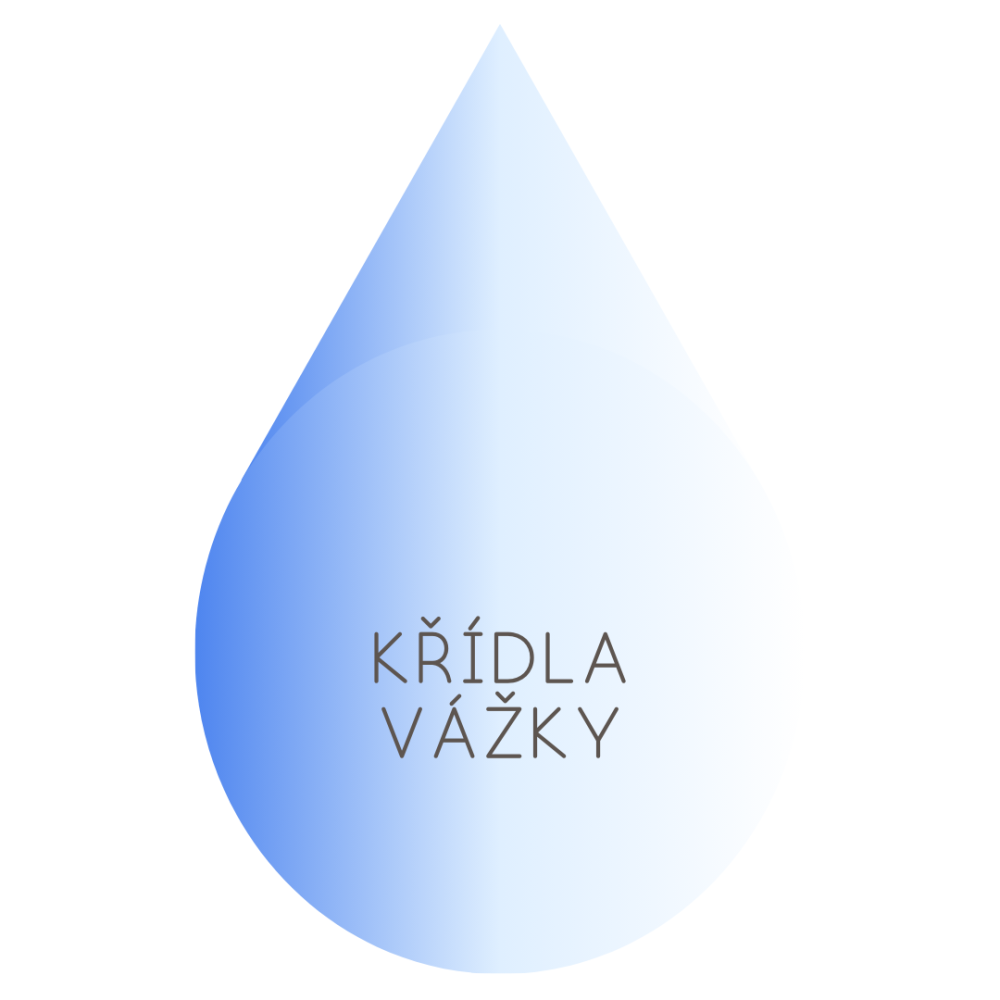 Křídla vážky - Barva sklíčka - Modrá 🔵