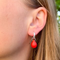 Korálové (proměnky)