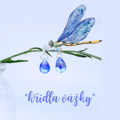 Křídla vážky