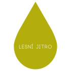 Lesní jitro