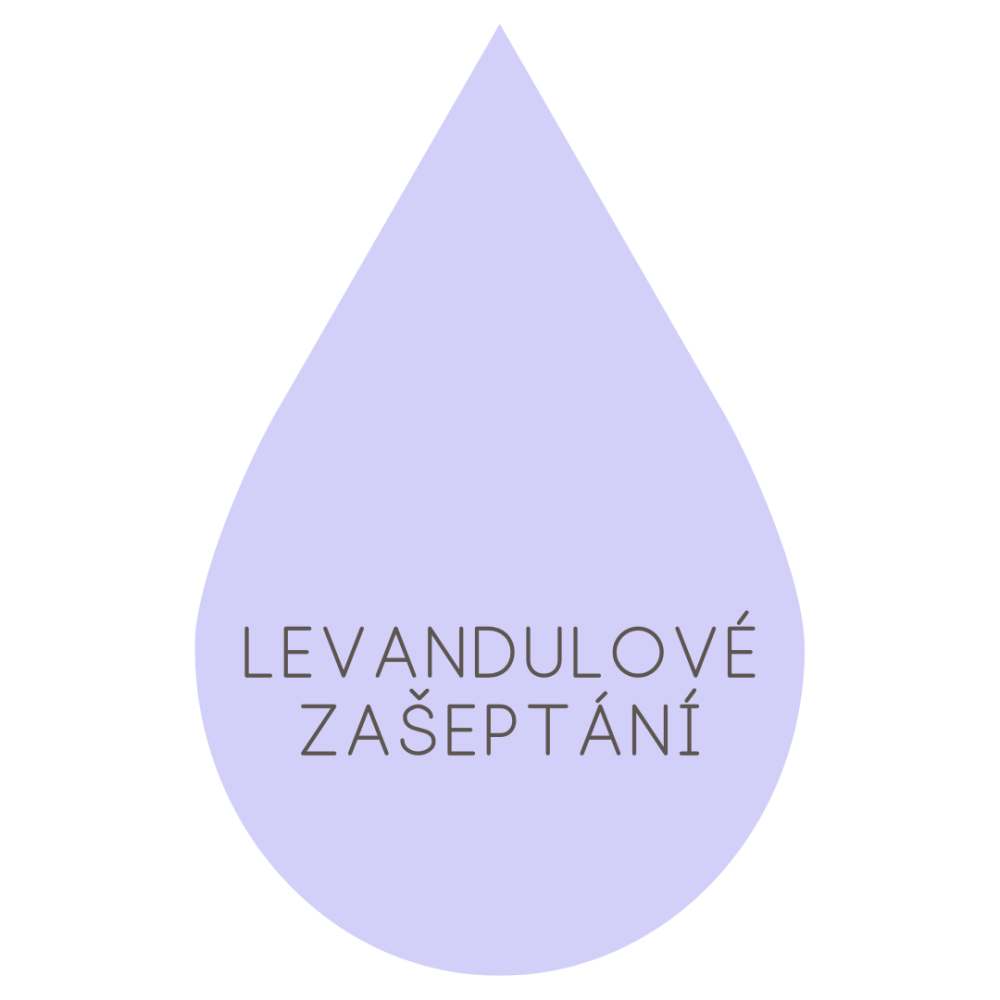 Levandulové zašeptání - provedení - Zlacené puzetky (stříbro 925 + vrstva 18k zlata)