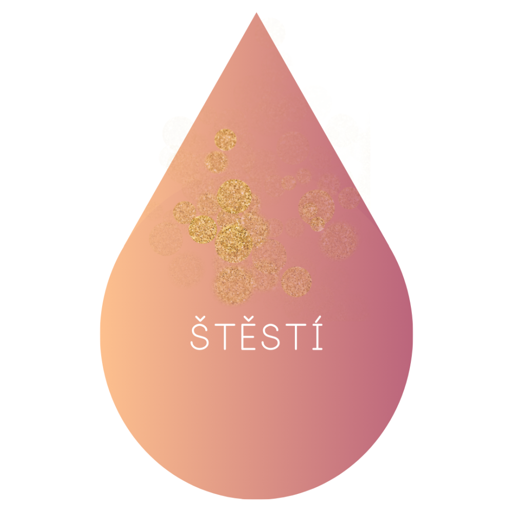 Štěstí - Skladem