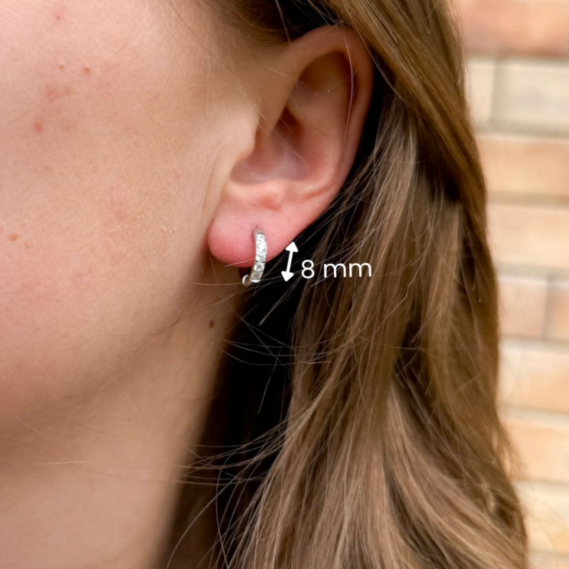 KPN: CHAT NOIR X LEDOVÉ TAJEMSTVÍ