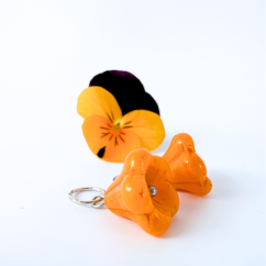 Gazénie (Proměnky)