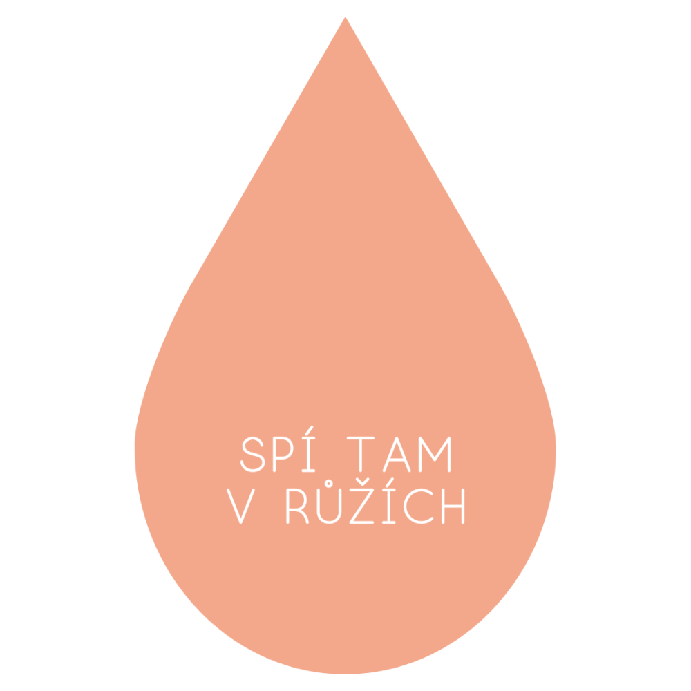 Spí tam v růžích - 5+2 s kódem "CHCISTANDARD"