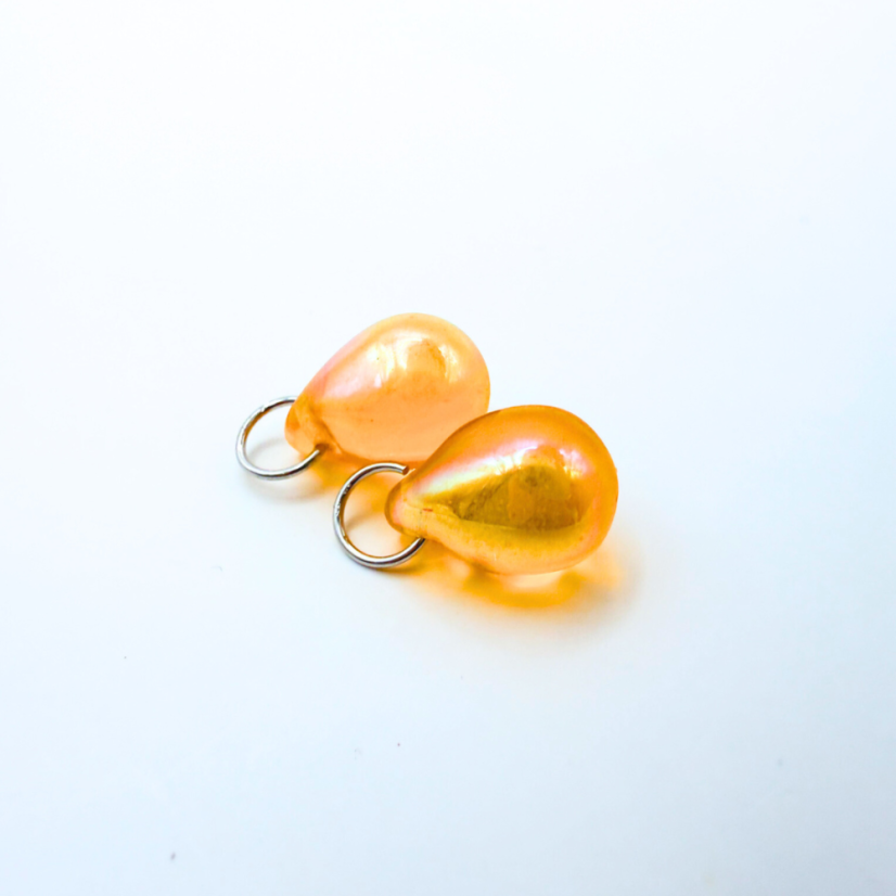 Rakytníkové (proměnky)