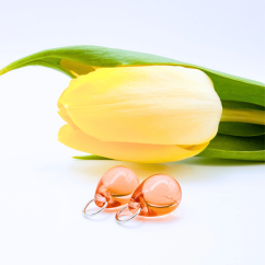 Meruňkové (Proměnky)