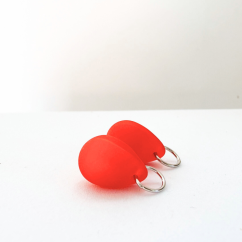 Korálové (proměnky)