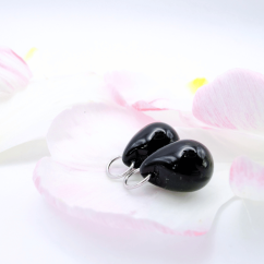 Chat Noir (Proměnky)