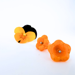 Gazénie (Proměnky)