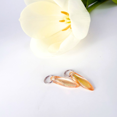 Jazýčky Sluneční paprsek