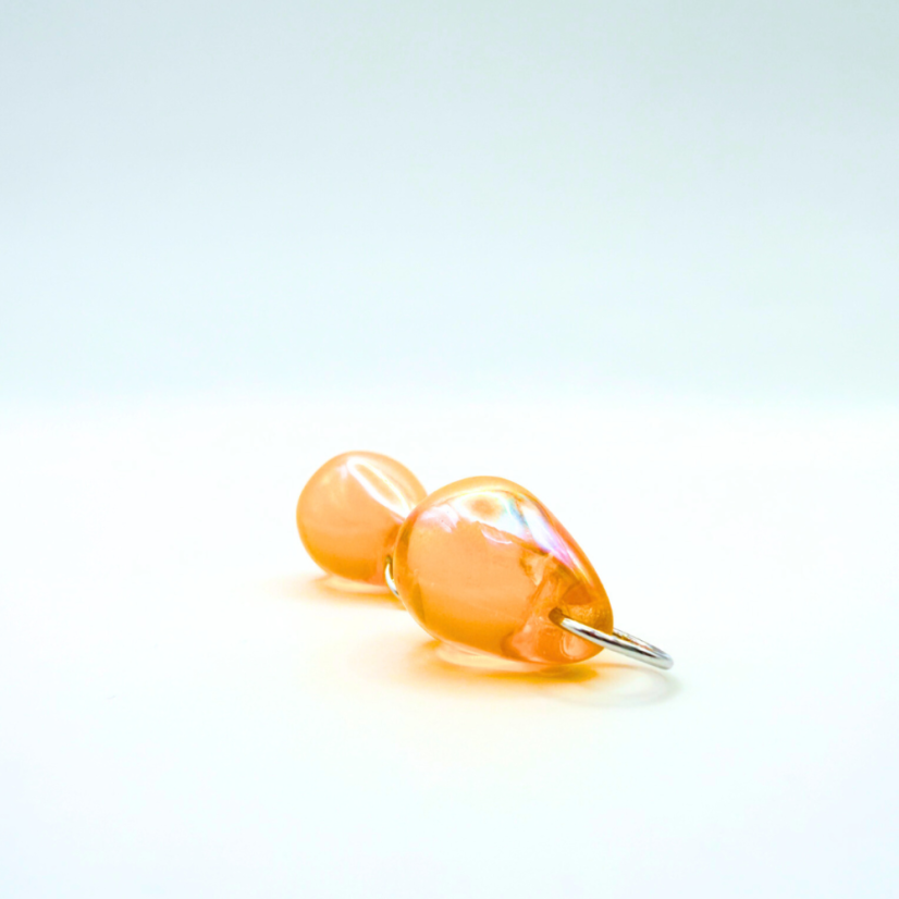 Rakytníkové (proměnky)