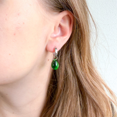 Stín kapradiny (Proměnky)