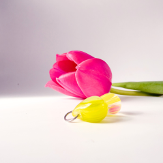 Pampelišky (proměnky)