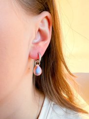 Pudřenky (proměnky)