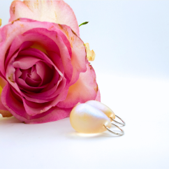 Carpe diem (proměnky)