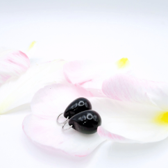 Chat Noir (Proměnky)