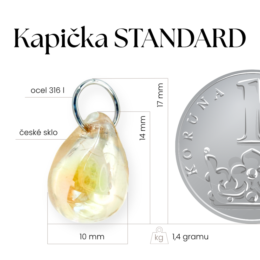 Rozměry a specifikace Standard vs Mini